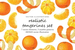 Vector set with realistic tangerine