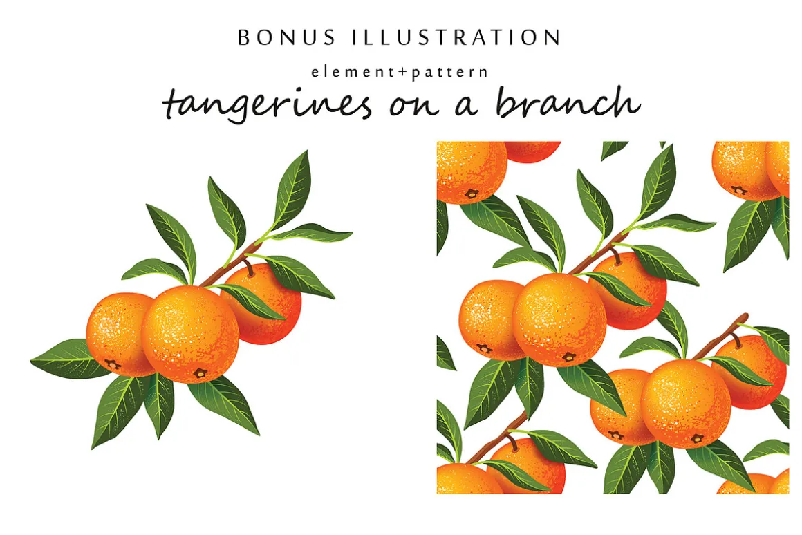Vector set with realistic tangerine