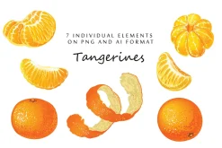 Vector set with realistic tangerine