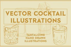 Vector Cocktail Illustrations