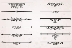 48 Vector Divider Design Elements