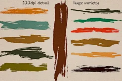 Vector Paint Brush Collection Plus