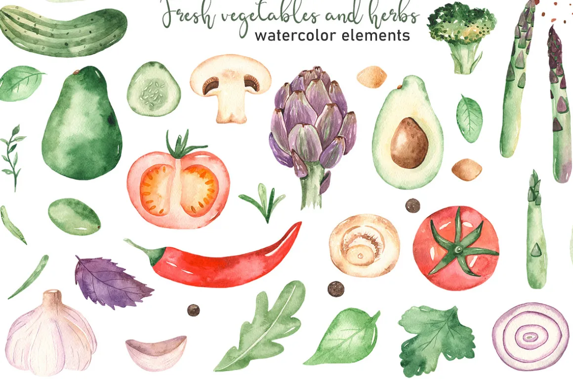 Vegetables and herbs Watercolor