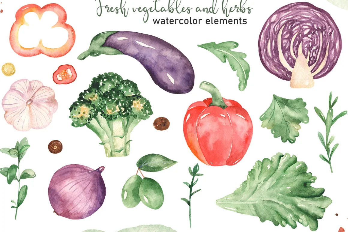 Vegetables and herbs Watercolor