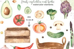 Vegetables and herbs Watercolor