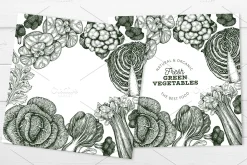 Vegetable Vector Collection #2