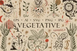 Vegetative Bundle