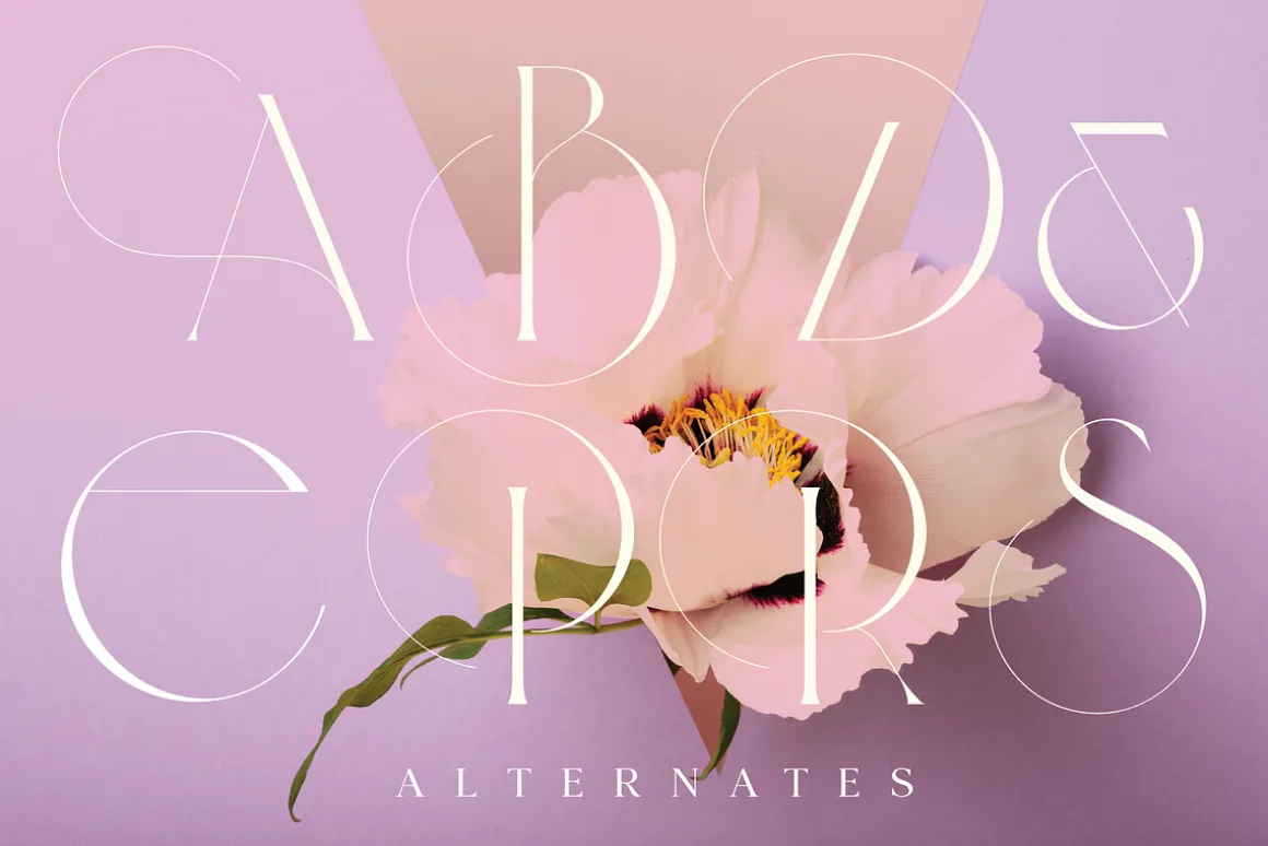Veilan Serif Delicate font