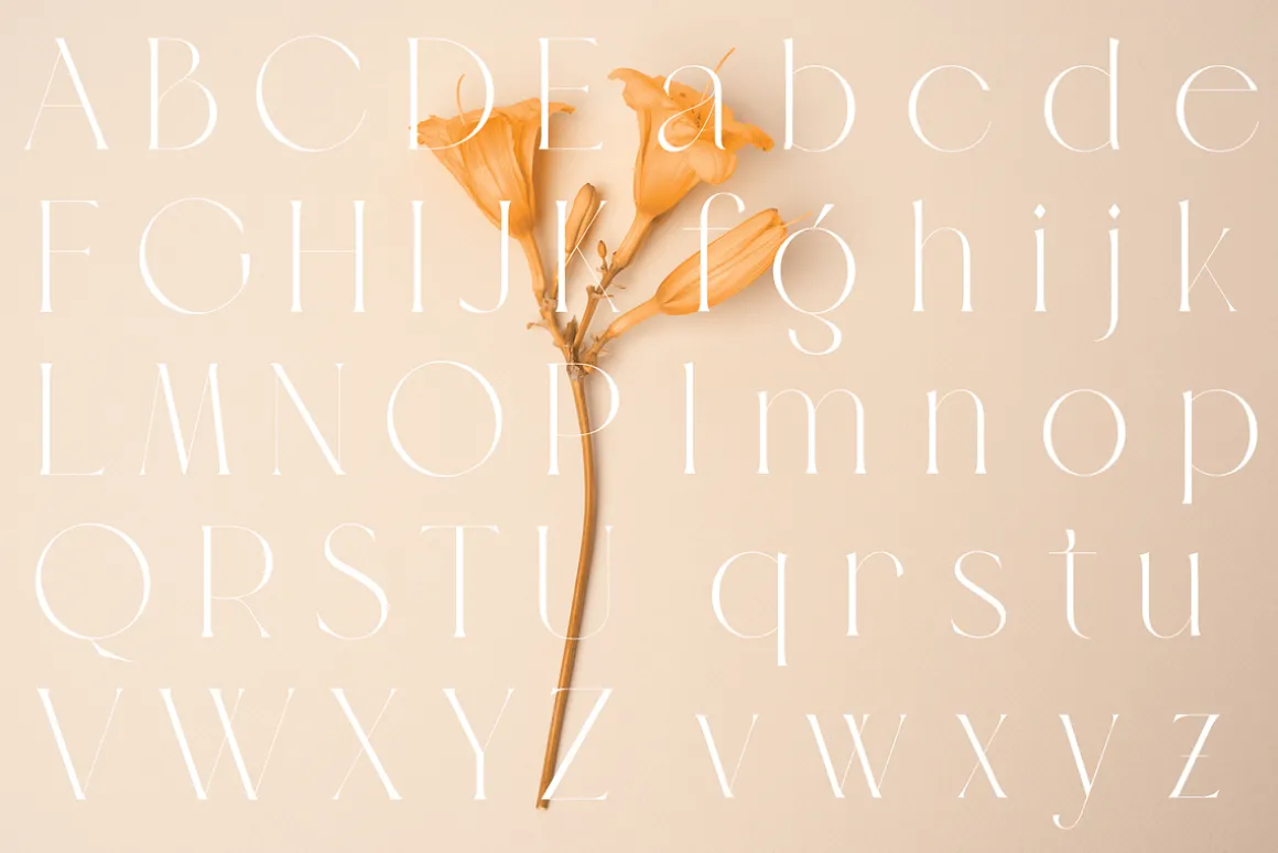 Veilan Serif Delicate font