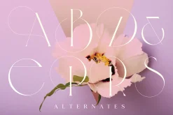 Veilan Serif Delicate font