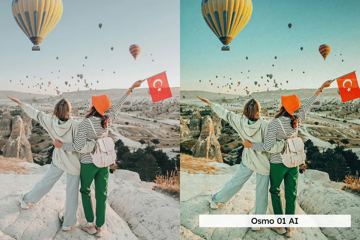 Vibrant and Grainy Lightroom Presets