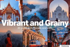 Vibrant and Grainy Lightroom Presets