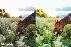 15 Vibrant LR Presets, Video Filters