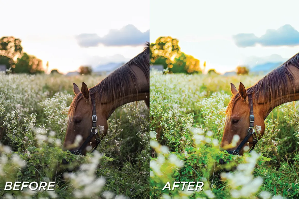 15 Vibrant LR Presets, Video Filters