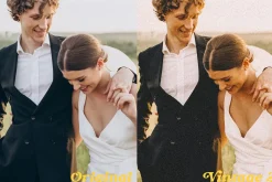 Vintage Photo Presets