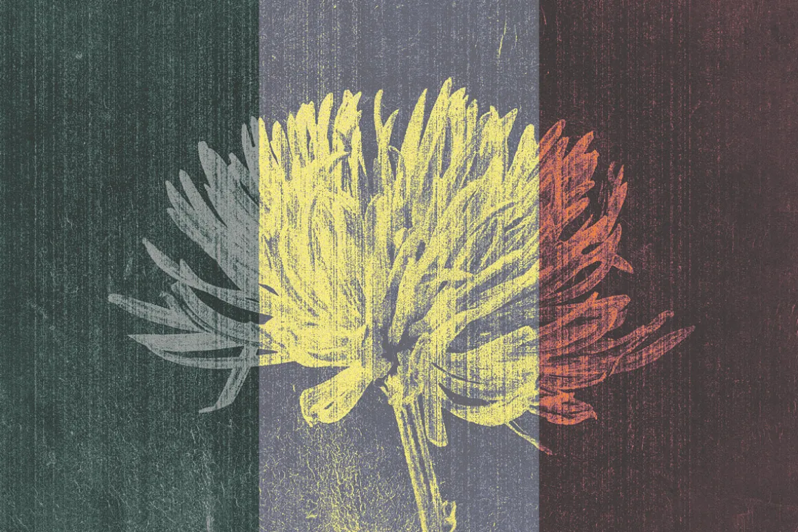 Vintage Album Photo Effects