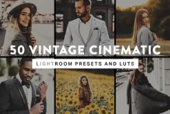 50 Vintage Cinematic Presets & LUTs
