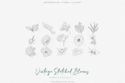 vintage delicate florals clipart set