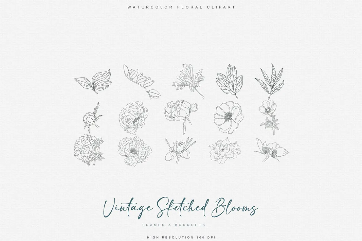 vintage delicate florals clipart set