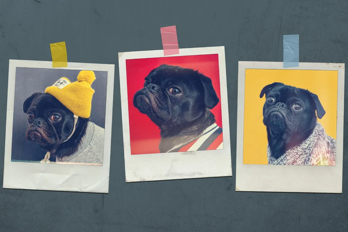 Vintage Effects & Overlays Package