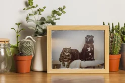 Vintage Effects & Overlays Package