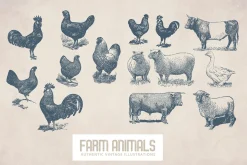 55 Vintage Farm Animals