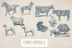55 Vintage Farm Animals