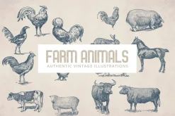 55 Vintage Farm Animals