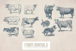 55 Vintage Farm Animals