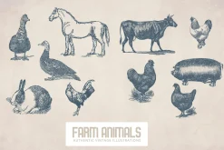 55 Vintage Farm Animals