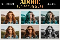 Vintage Film Look 20,000 Presets