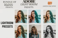 Vintage Film Look 20,000 Presets