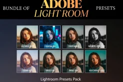 Vintage Film Look 20,000 Presets