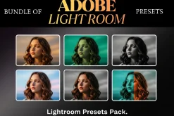 Vintage Film Look 20,000 Presets