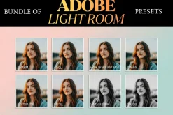 Vintage Film Look 20,000 Presets