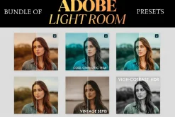 Vintage Film Look 20,000 Presets