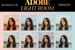 Vintage Film Look 20,000 Presets