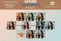 Vintage Film Look 20,000 Presets