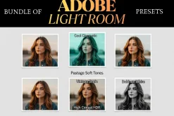 Vintage Film Look 20,000 Presets