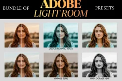 Vintage Film Look 20,000 Presets