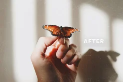 Vintage Film: LR Presets & Film Dust