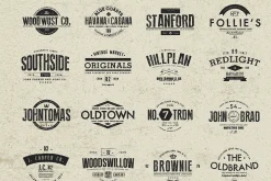 130+ Vintage Logos bundle