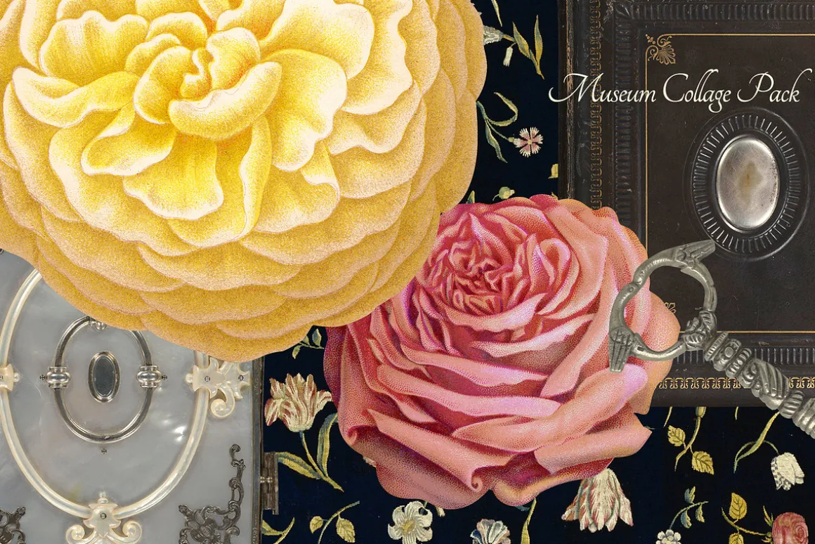 Vintage Museum Collage Elements Pack