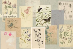 Vintage Museum Collage Elements Pack