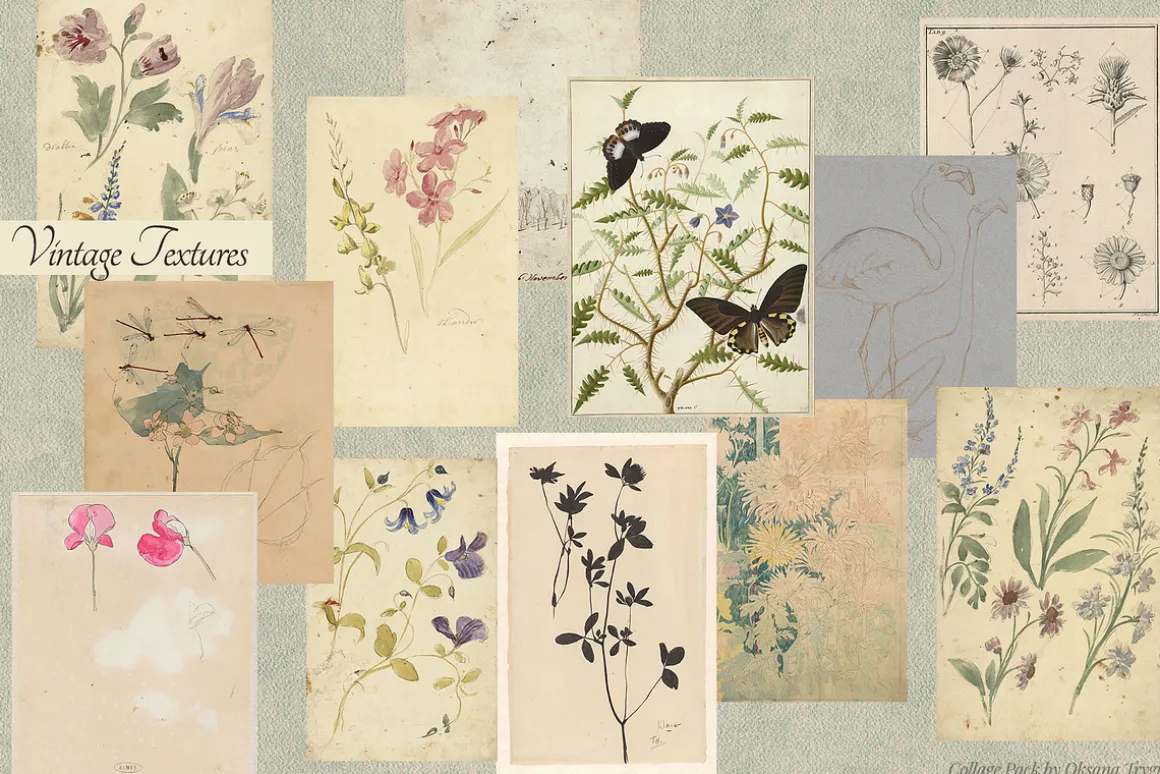 Vintage Museum Collage Elements Pack