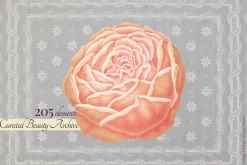 Vintage Museum Collage Elements Pack