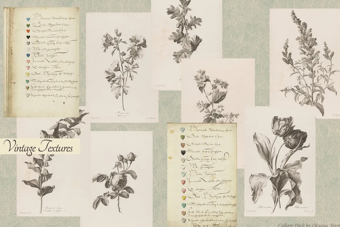 Vintage Museum Collage Elements Pack