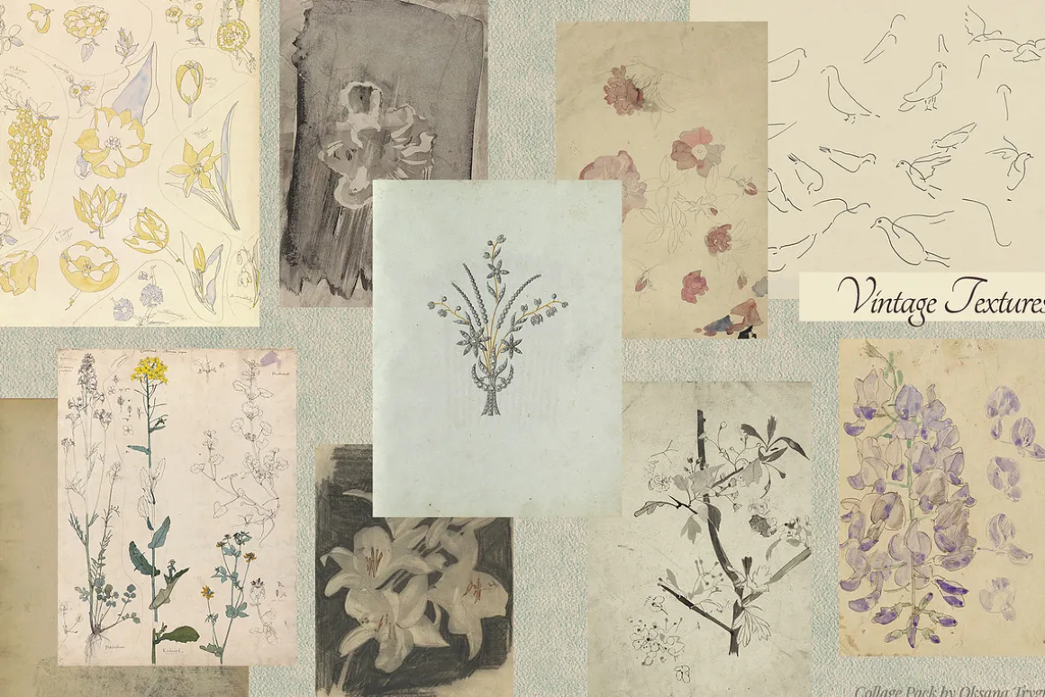 Vintage Museum Collage Elements Pack