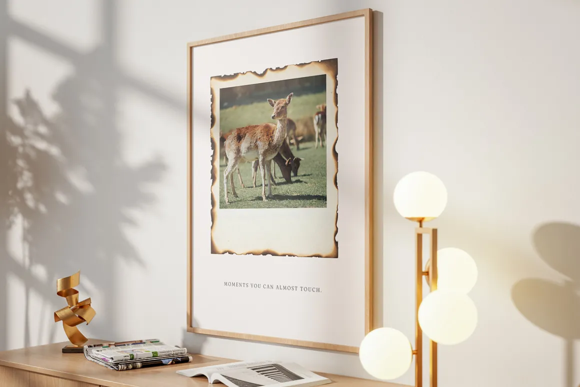 15 Vintage Polaroid Frame