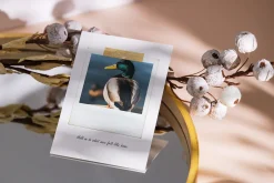 15 Vintage Polaroid Frame